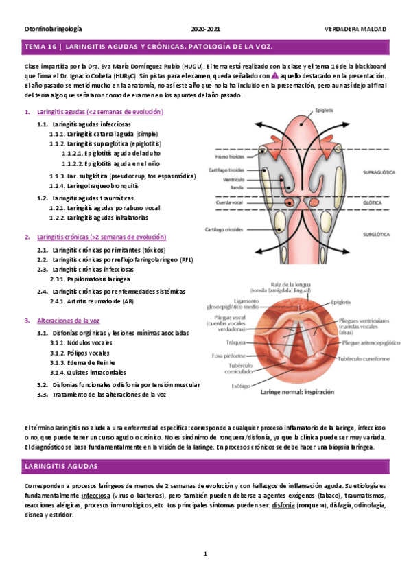 Miniatura del documento TEMA-16-LARINGITIS-AGUDAS-Y-CRONICAS.pdf