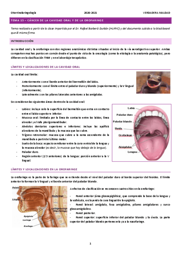 Miniatura del documento TEMA-15-CANCER-DE-LA-CAVIDAD-ORAL-Y-DE-LA-OROFARINGE.pdf