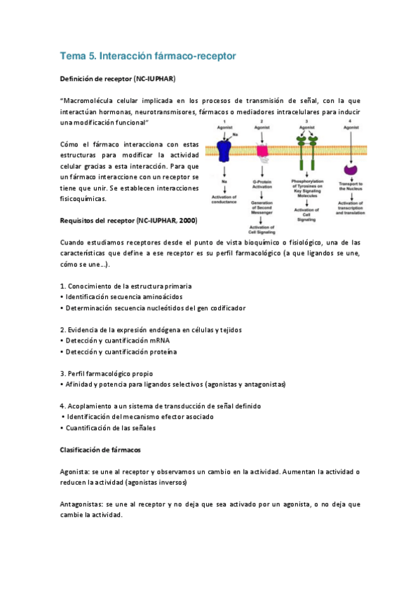 Miniatura del documento Tema 5 FM.pdf