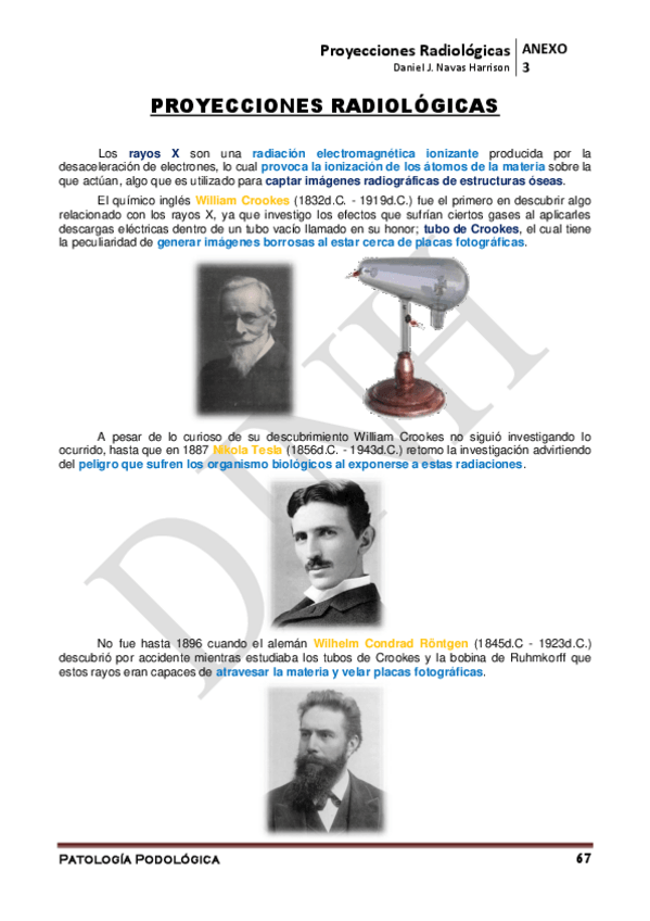 Miniatura del documento ANEXO-3o-Proyecciones-Radiologicas.pdf