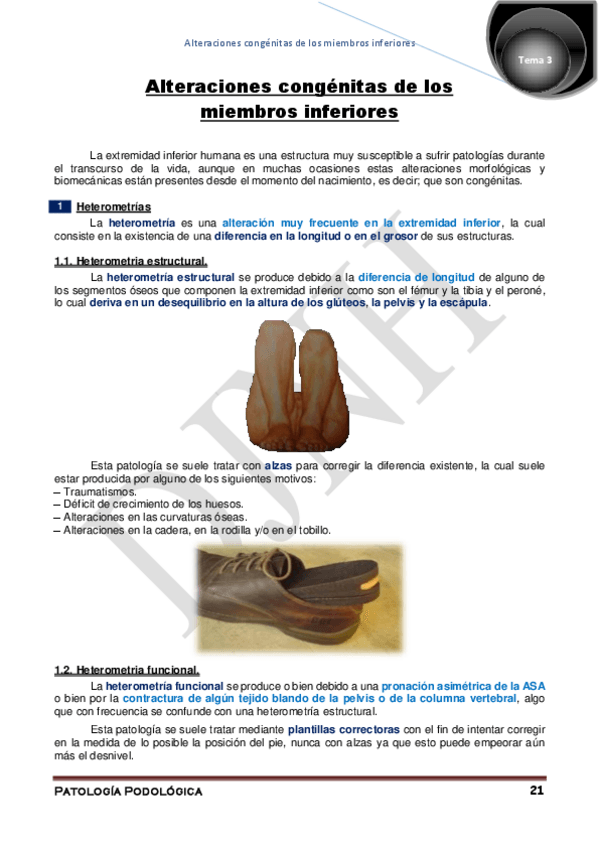 Miniatura del documento 3.pdf