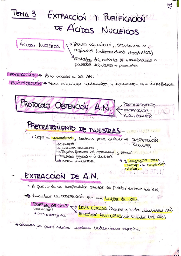Miniatura del documento TEMA-3.pdf