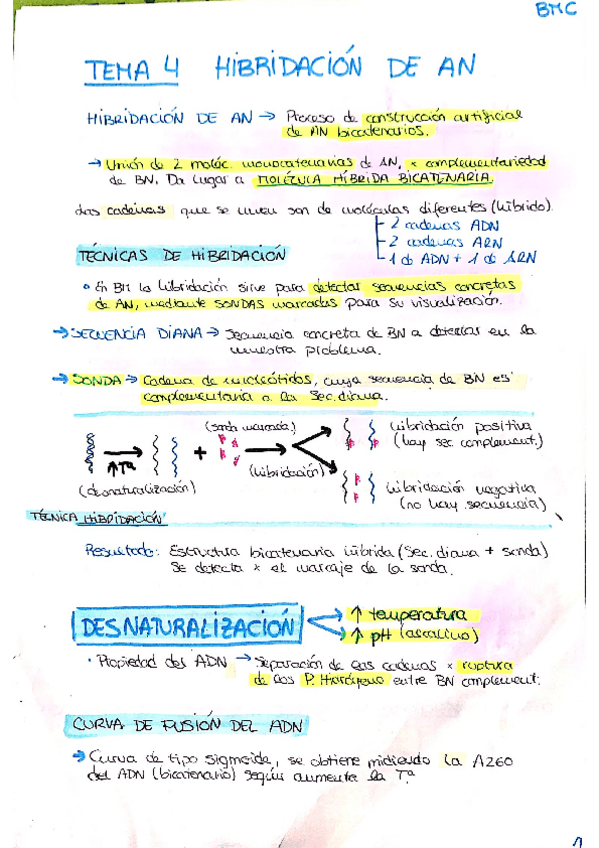 Miniatura del documento TEMA-4.pdf