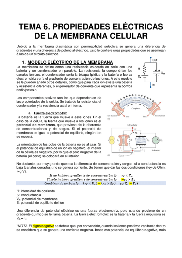 Miniatura del documento TEMA-6.pdf