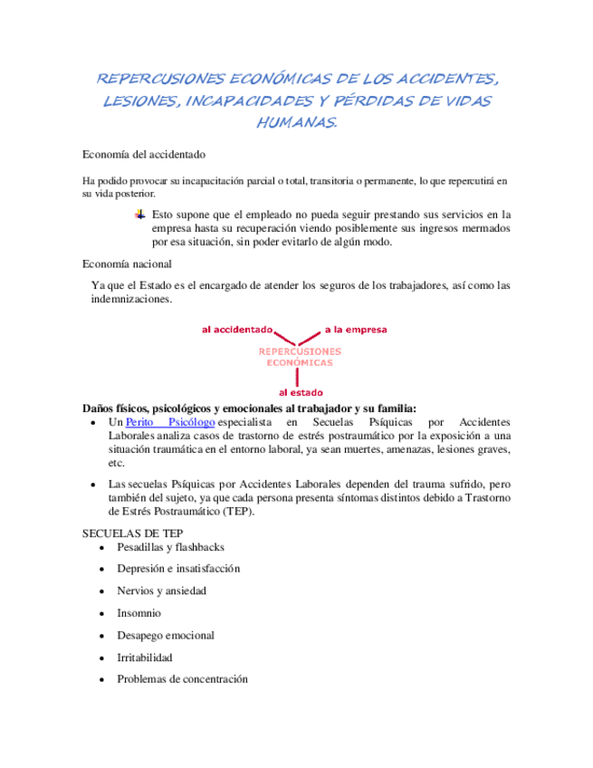 Miniatura del documento REPERCUSIONES-ECONOMICAS-DE-LOS-ACCIDENTES.pdf