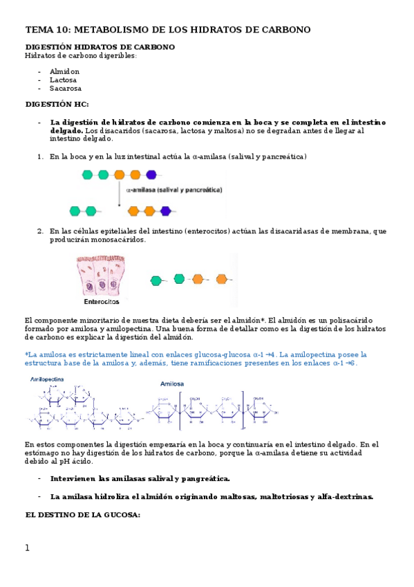 Miniatura del documento TEMA-10.docx