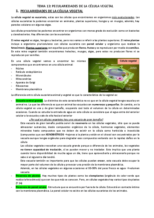 Miniatura del documento TEMA-13.pdf