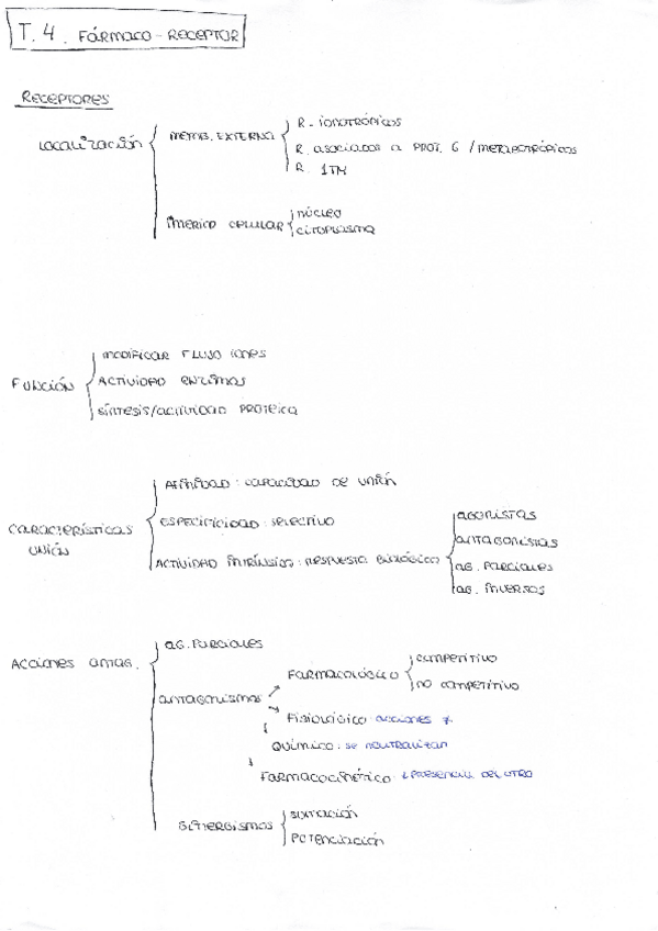 Miniatura del documento scan0066.pdf