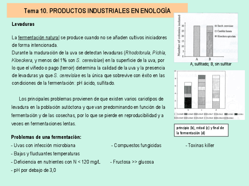 Miniatura del documento 11.pdf