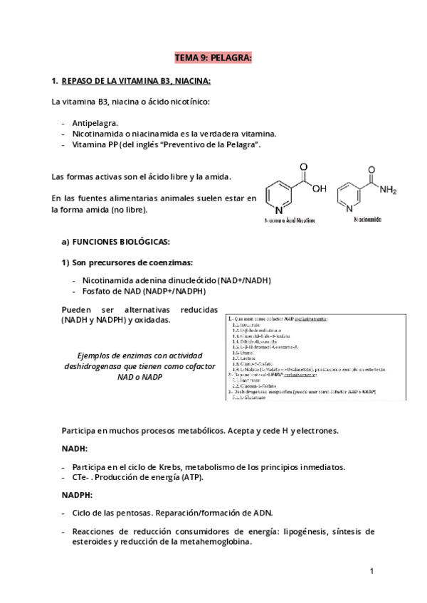 Miniatura del documento Tema-9.pdf