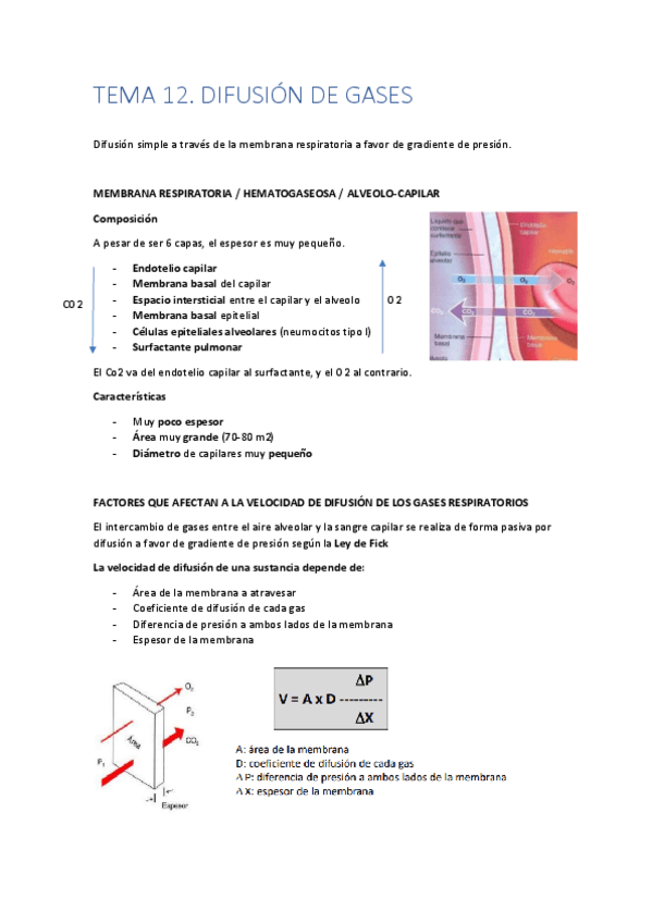 Miniatura del documento TEMA-12.pdf