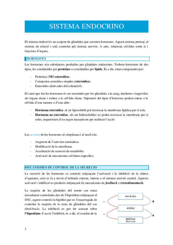 Miniatura del documento SISTEMA-ENDOCRINO.docx
