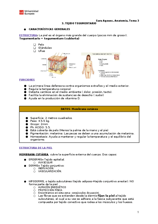 Miniatura del documento 3.-TEJIDO-TEGUMENTARIO.docx