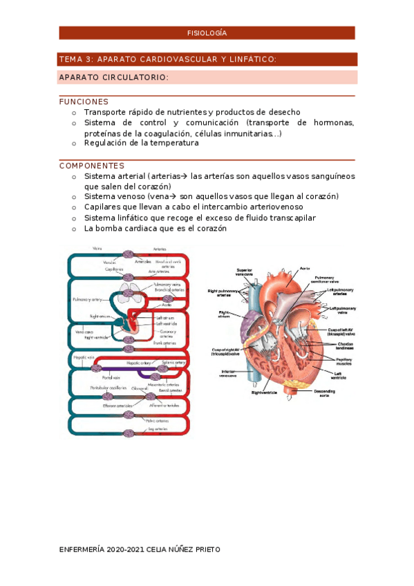 Miniatura del documento TEMA-1-CARDIOLOGIA.docx