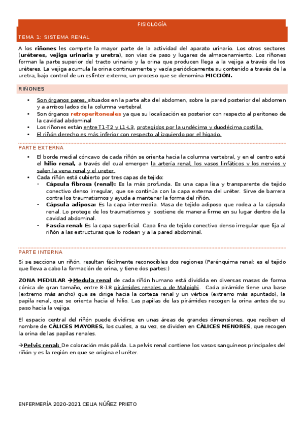 Miniatura del documento TEMA-1-RENAL.docx