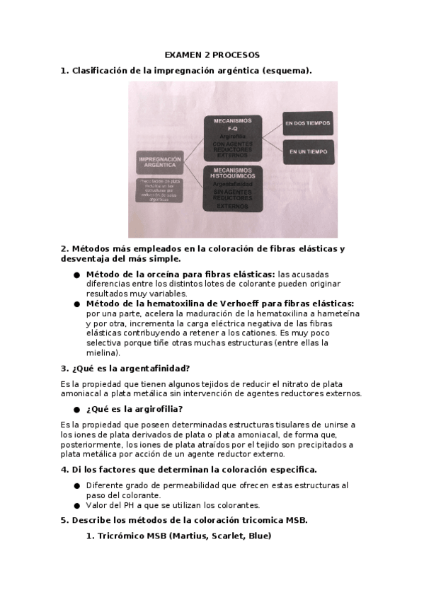 Miniatura del documento Document-from-Patri.docx