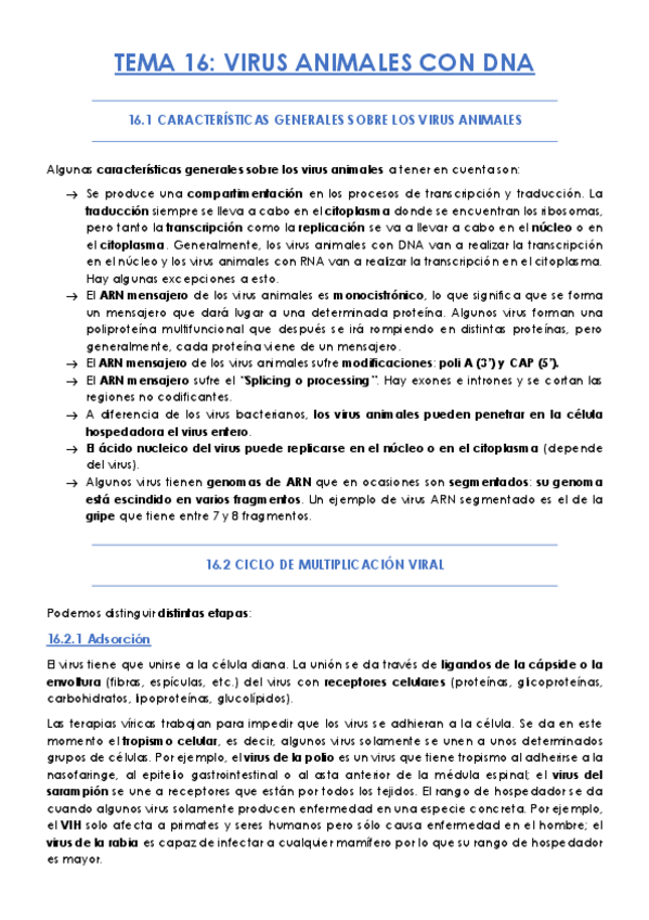 Miniatura del documento TEMA-16.pdf