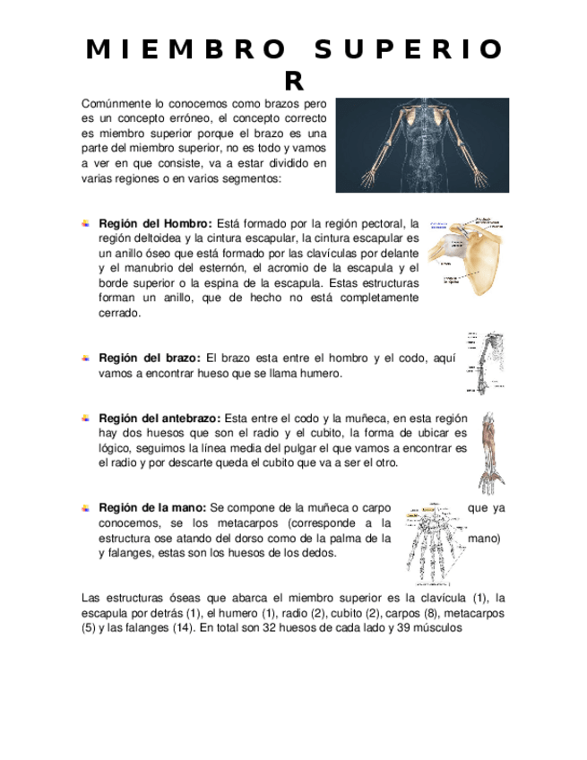 Miniatura del documento Miembro-Superior.docx