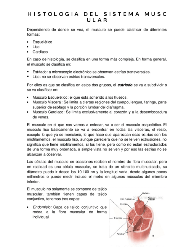 Miniatura del documento Histologia-del-Sistema-Muscular.docx