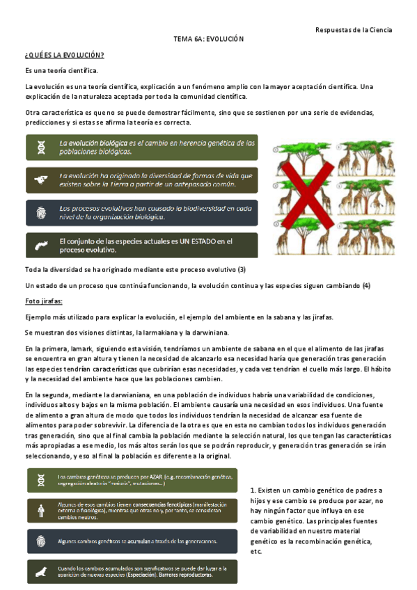 Miniatura del documento 6A.pdf