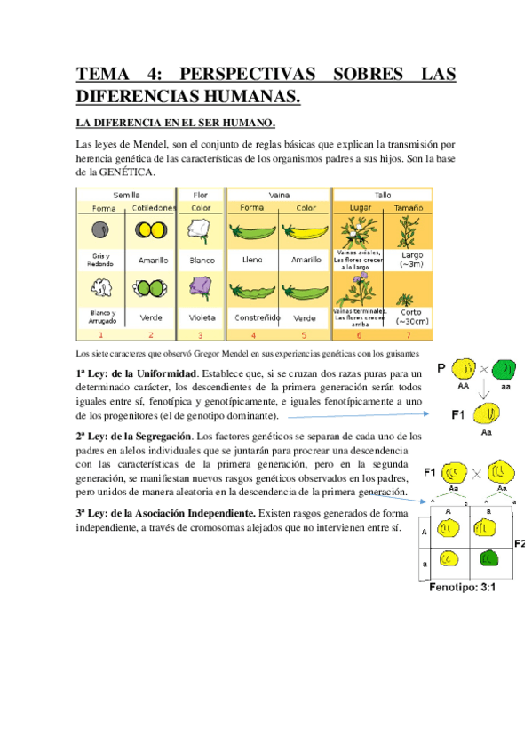 Miniatura del documento Tema-4.docx