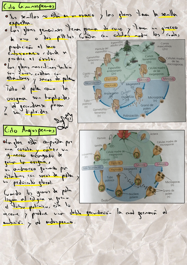 Miniatura del documento 6.png