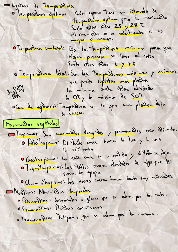 Miniatura del documento 3.png