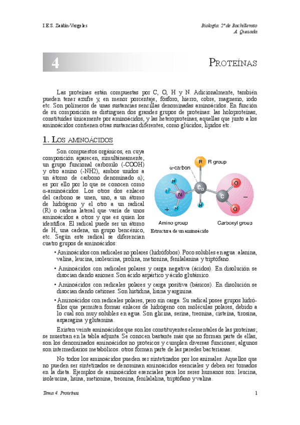 Miniatura del documento Tema-4-Proteinas.pdf