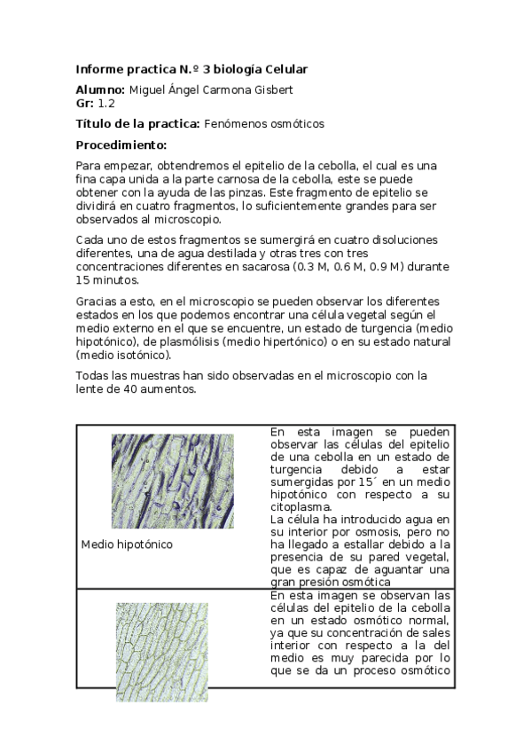 Miniatura del documento Informe-practica-No-4-biologia-celular.docx