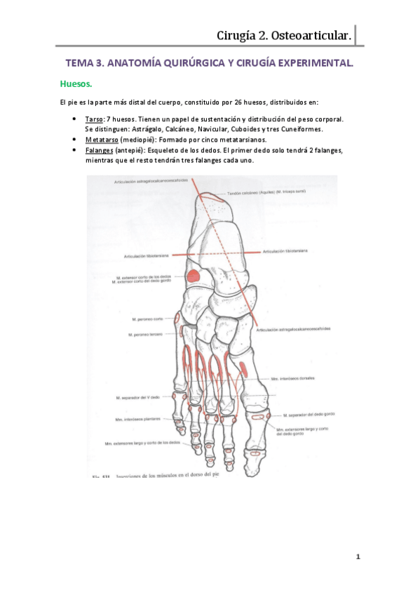Miniatura del documento Tema 3.pdf