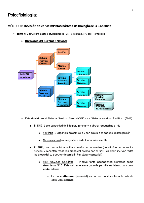 Miniatura del documento Psicofisiologia.pdf