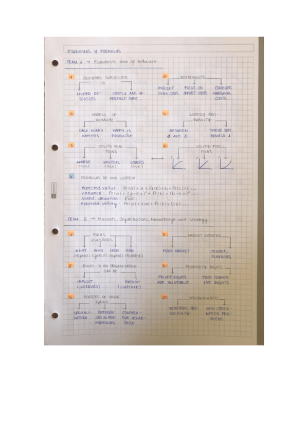 Miniatura del documento Esquemas-Temas-1-2.pdf