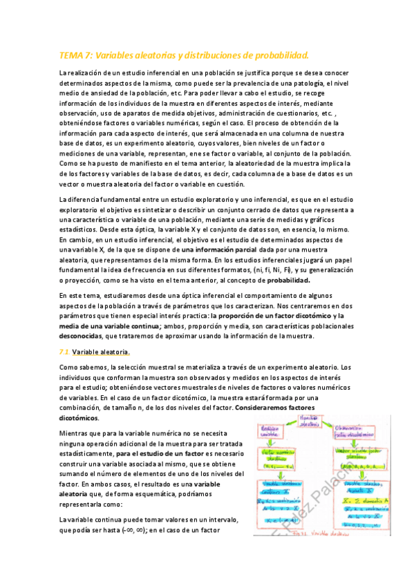Miniatura del documento TEMA-7.pdf