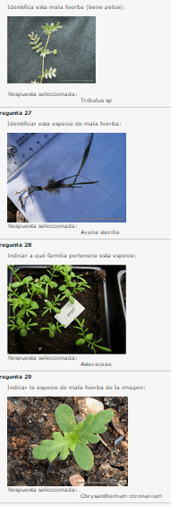 Miniatura del documento 8.png