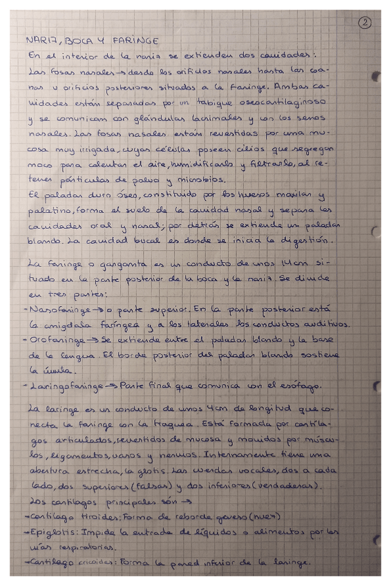 Miniatura del documento 02.pdf