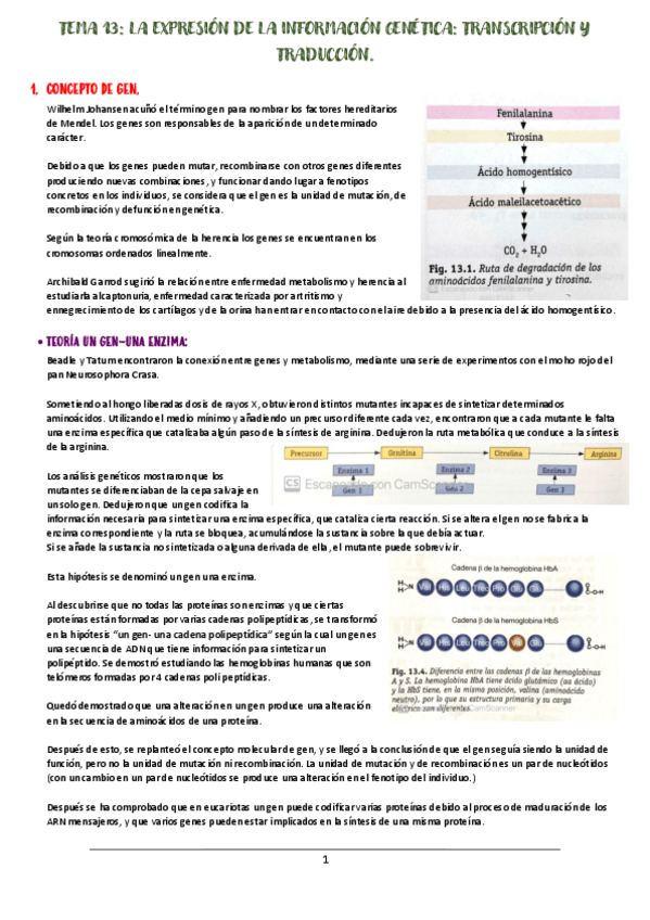Miniatura del documento tema-13-bio.pdf