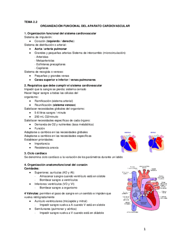 Miniatura del documento Tema 3.2 Aparato cardiovascular