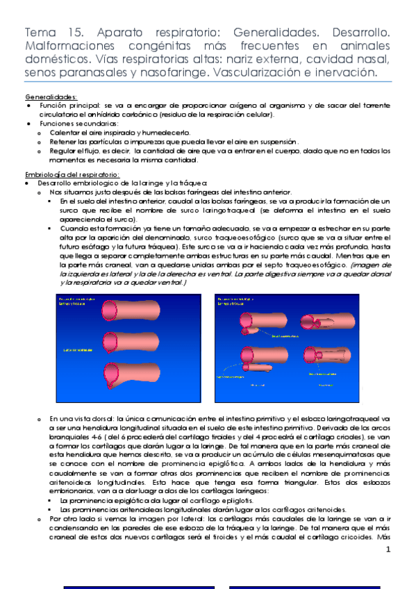 Miniatura del documento Respiratorio-15-18.pdf