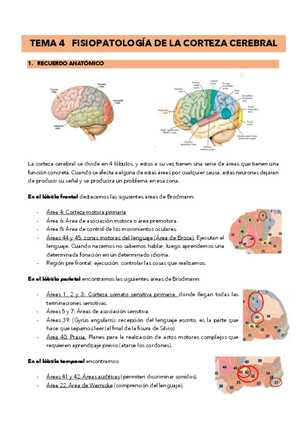 Miniatura del documento TEMA-4-5-Fisiopatologia.pdf