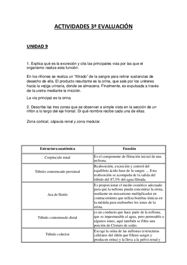 Miniatura del documento ACTIVIDADES-3a-EVALUACION.pdf
