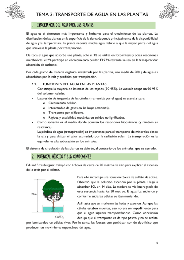 Miniatura del documento T3-TRANSPORTE-DE-AGUA-EN-LAS-PLANTAS.pdf