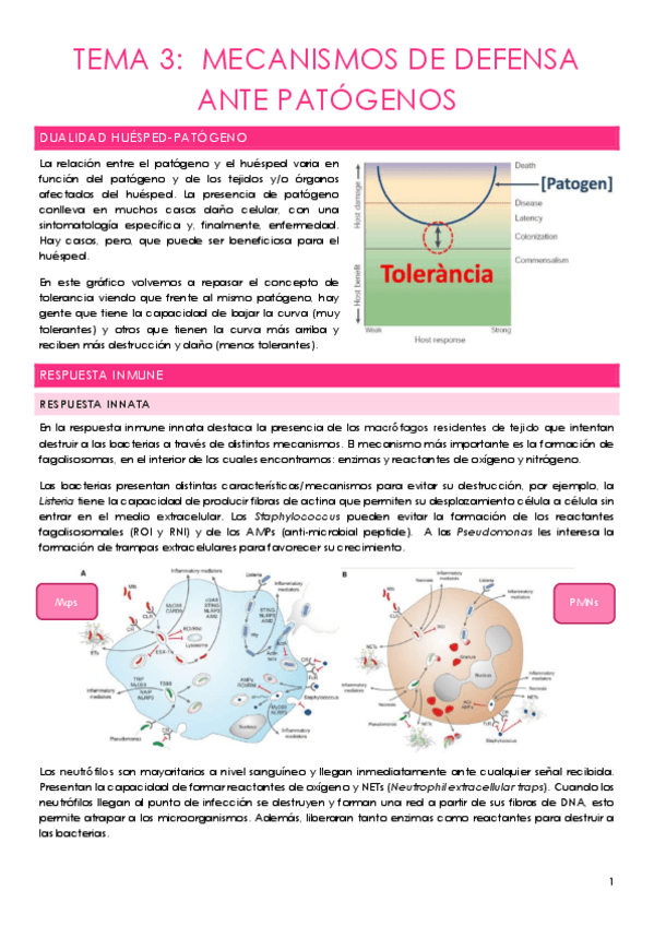 Miniatura del documento TEMA-3compressed.pdf
