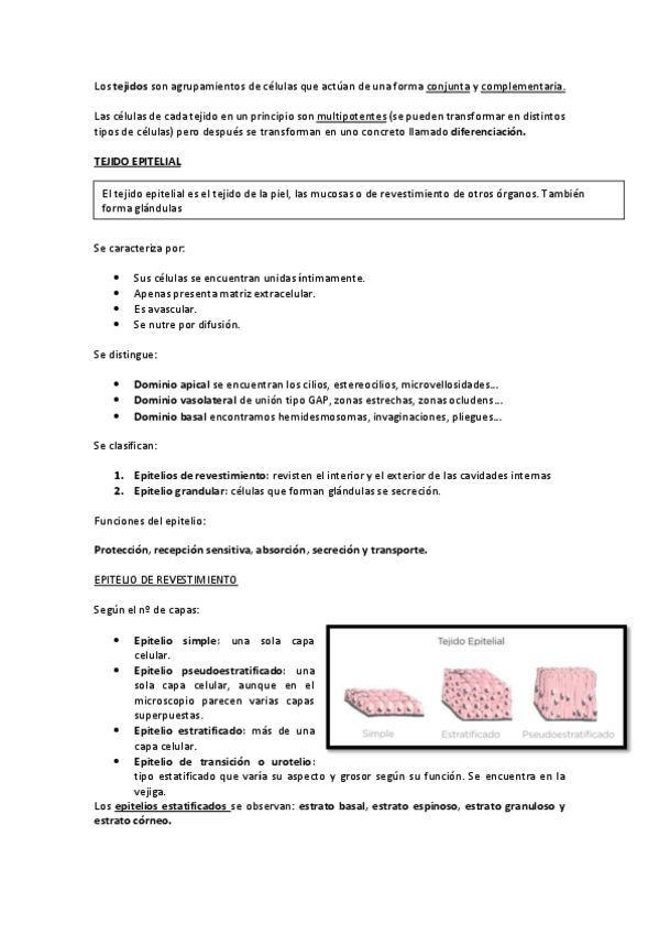 Miniatura del documento tema-2.pdf