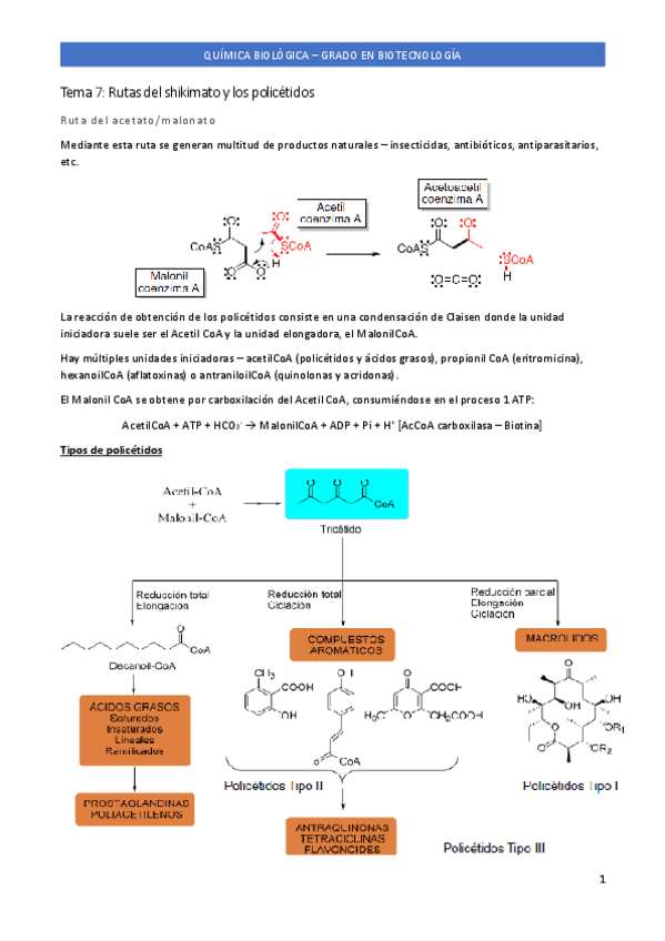 Miniatura del documento Tema-7.pdf