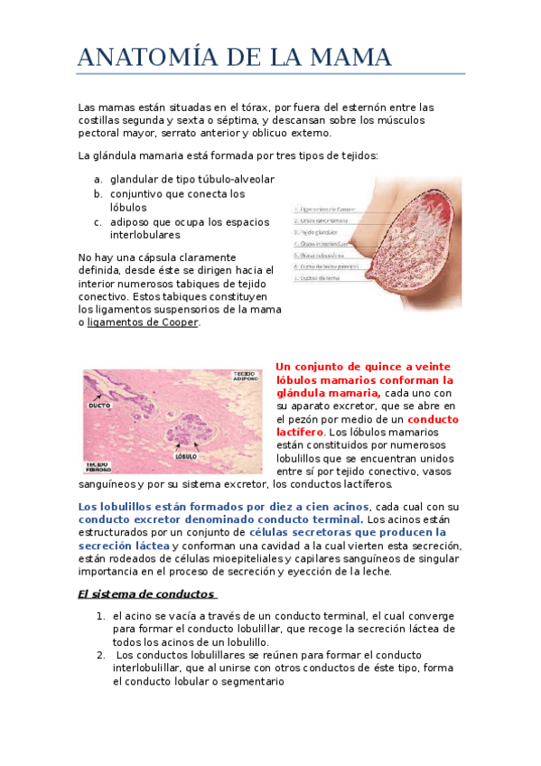 Miniatura del documento TEMA-6.docx