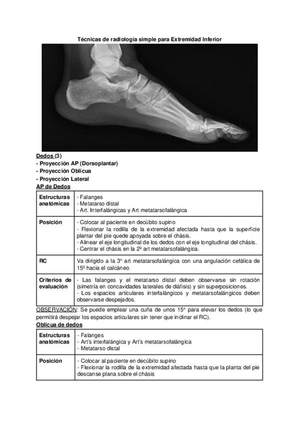 Miniatura del documento RS-Extremidad-inferior-1.docx