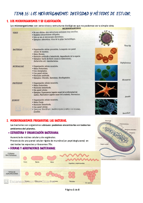 Miniatura del documento TEMA-16-BIO.pdf