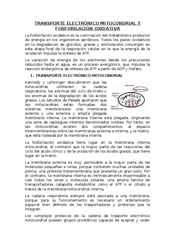 Miniatura del documento TEMA-10.docx