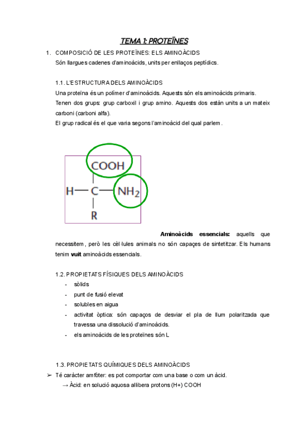 Miniatura del documento RESUM-PROTEINES.pdf