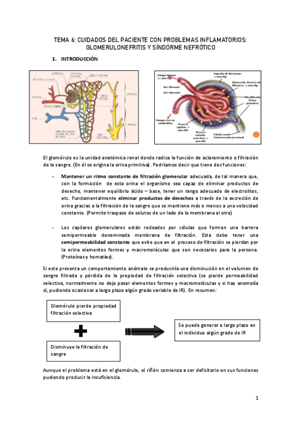 Miniatura del documento Tema-6.pdf